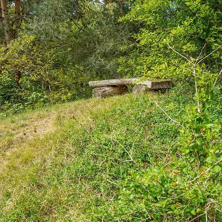 Hébergement de vacances Livni - 3-8km From The Sea By Interhome